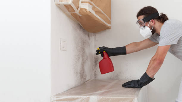 Professional Bathroom Mold Removal technician working in Suitland, MD