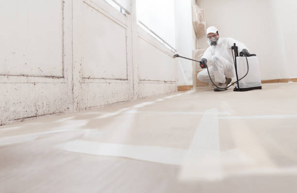 24/7 Emergency Bathroom Mold Removal experts in Suitland, MD