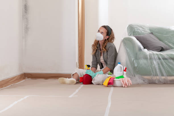 Trusted Bathroom Mold Removal service in Suitland, MD - Cheap Mold Removal